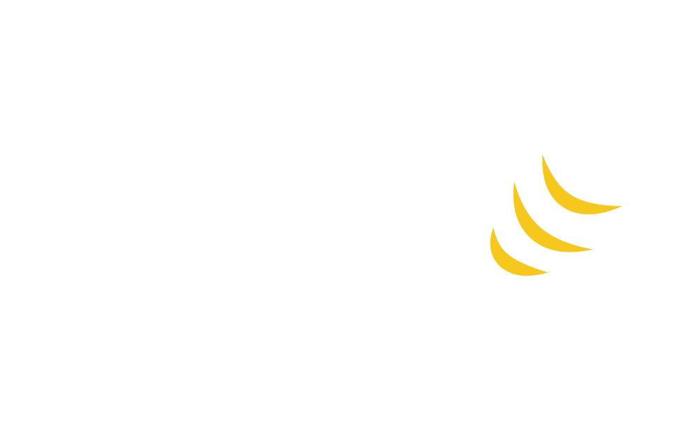 wit bijtje met aanvliegstreepje